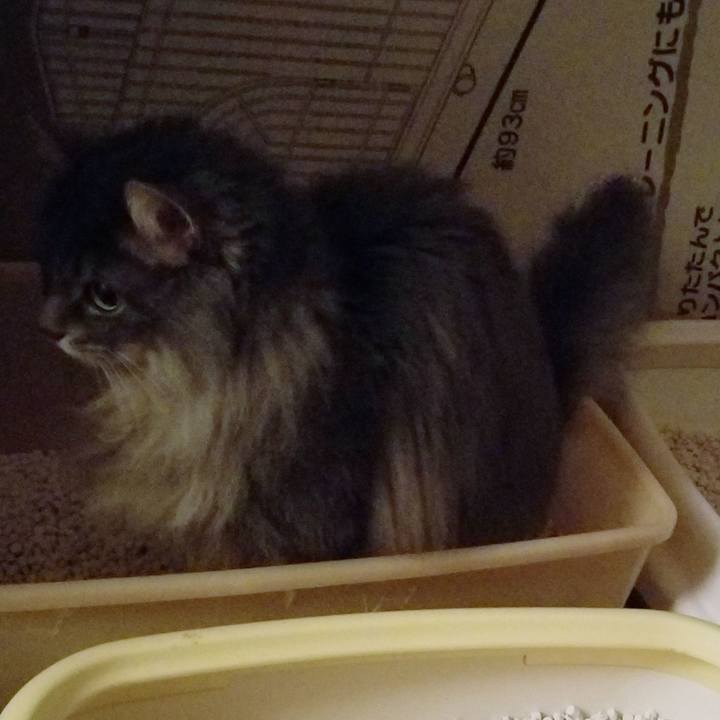 F21df63b 3fd8 45a6 9880 c22b2498805d 1550707597472