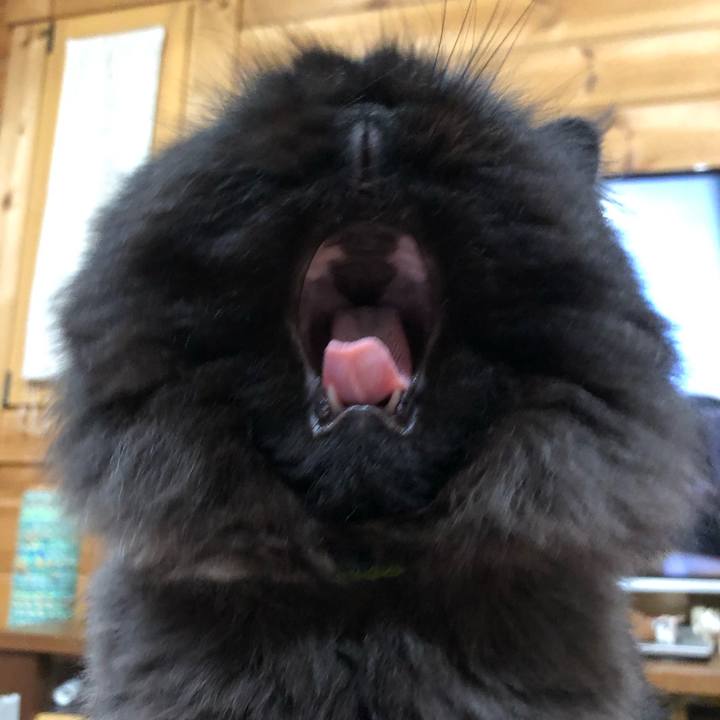 F21e0813 b389 4228 92f6 4c6a0a1f5699 1630154302992