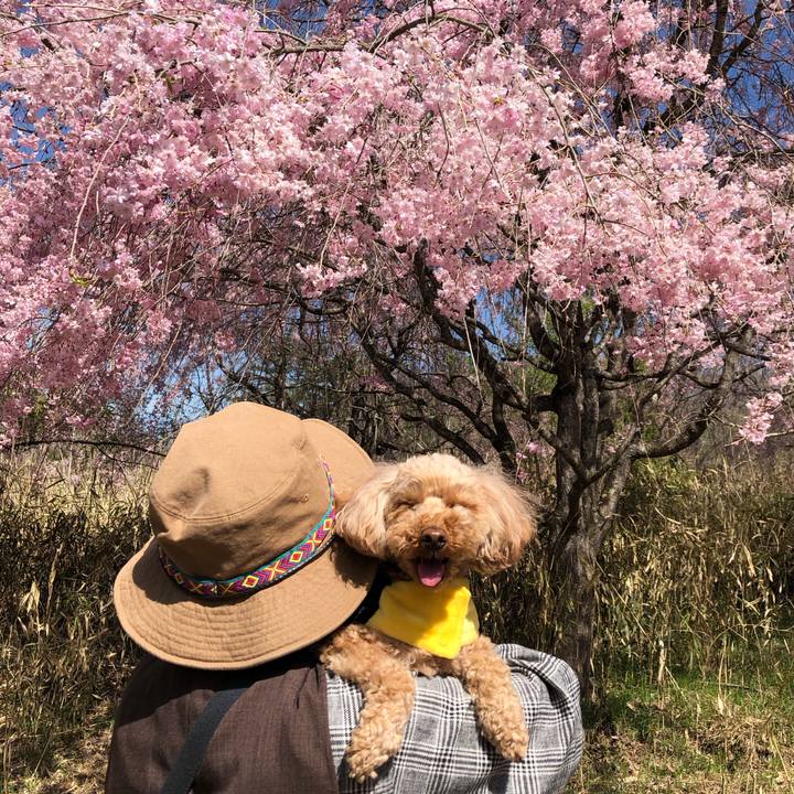 F21e170c 416b 44c0 bbbf ad73f44a2dbf 1776583341199