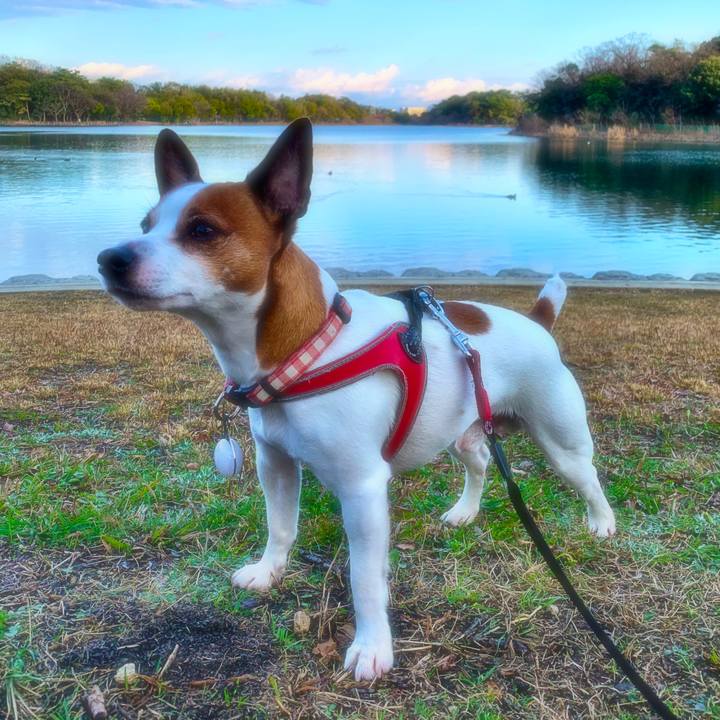 F21e1870 9021 4811 b9f1 1458976c0bf2 1584189818258