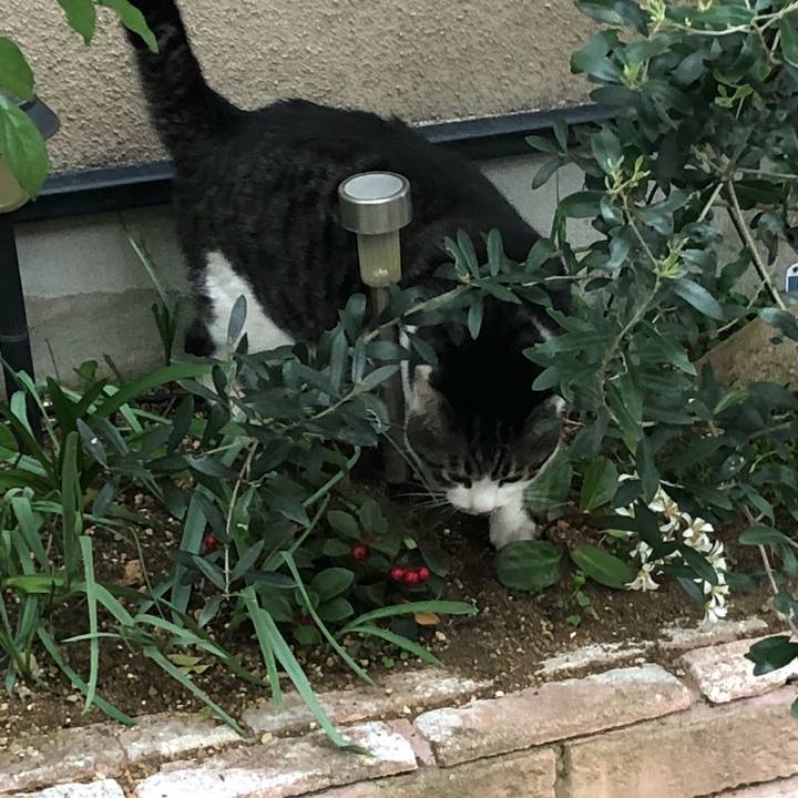 F21e18f6 328a 4f64 9f3d 299803d1e1fc 1522140664080