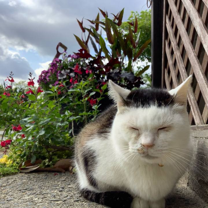 F21e25ec 36a6 424a 8367 1d7a71d9e706 1619924096766