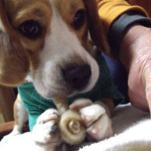 F21e3680 7938 4abe b881 c15a39960539 1708039735453