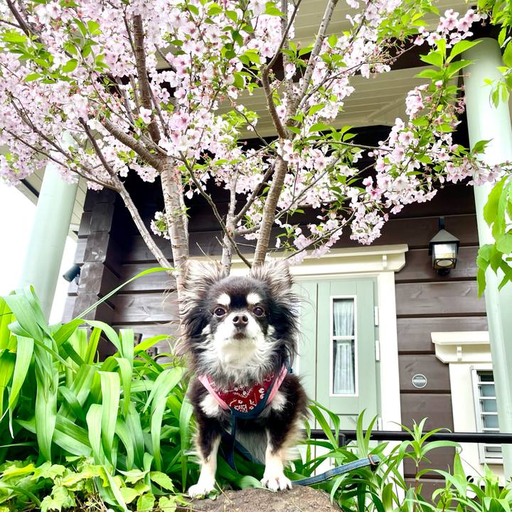 F21e50e8 85dc 4db6 a2c1 b0b7c1ed54f4 1680936659907