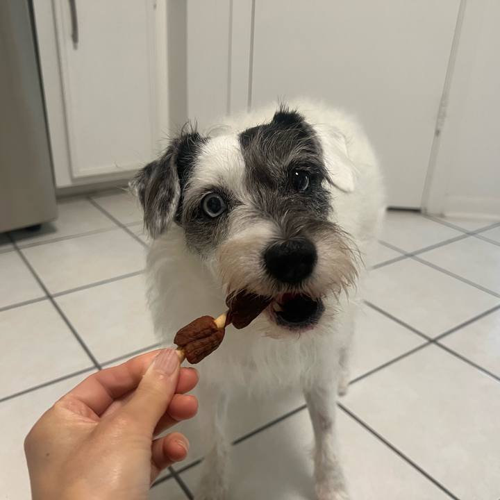 F21e6251 9e2f 448c 9663 8402f0eab6a1 1687039341457