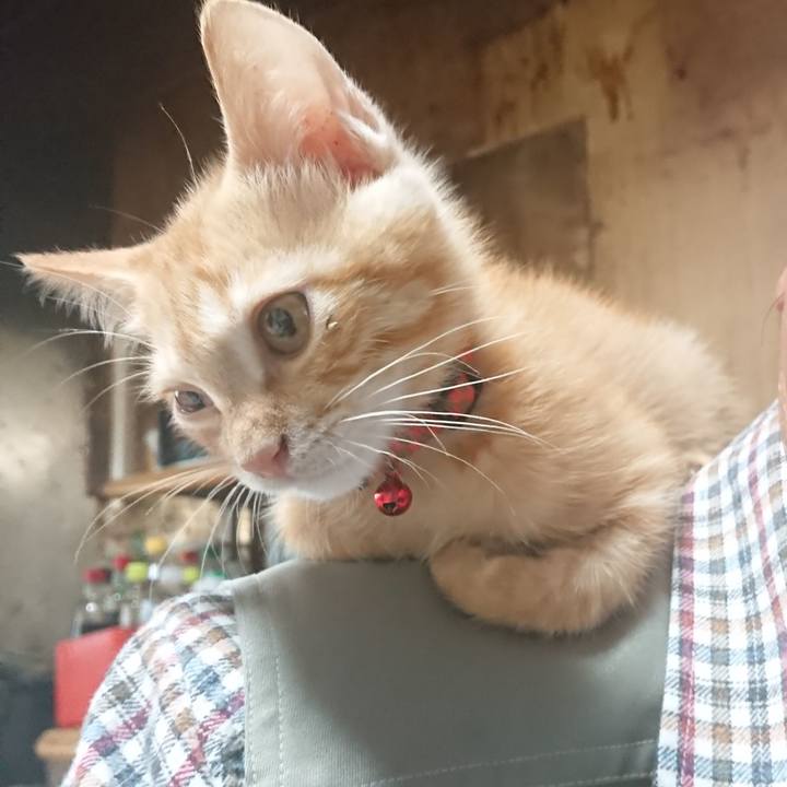 F21e893d 84f2 4238 8813 6c8b66c02563 1630892713886