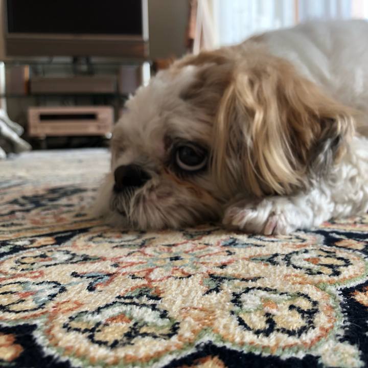 F21ebd75 cf3b 43a8 b9d7 2e7863a523c3 1560039870137