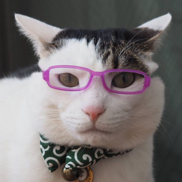 F21ee57d 3f36 4f59 8ac8 44b5910fb7f4 1522019616692