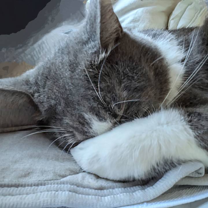 F21ef2bb 50cd 4ae2 9516 57db171472f8 1728947391667