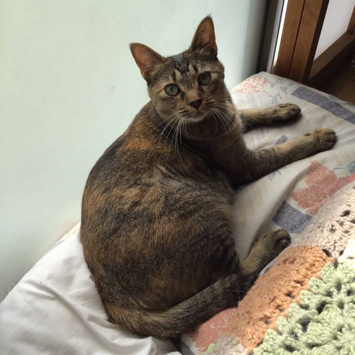 F21f158a 6ce8 4f03 bb71 0c4609a71eb1 1596598313921