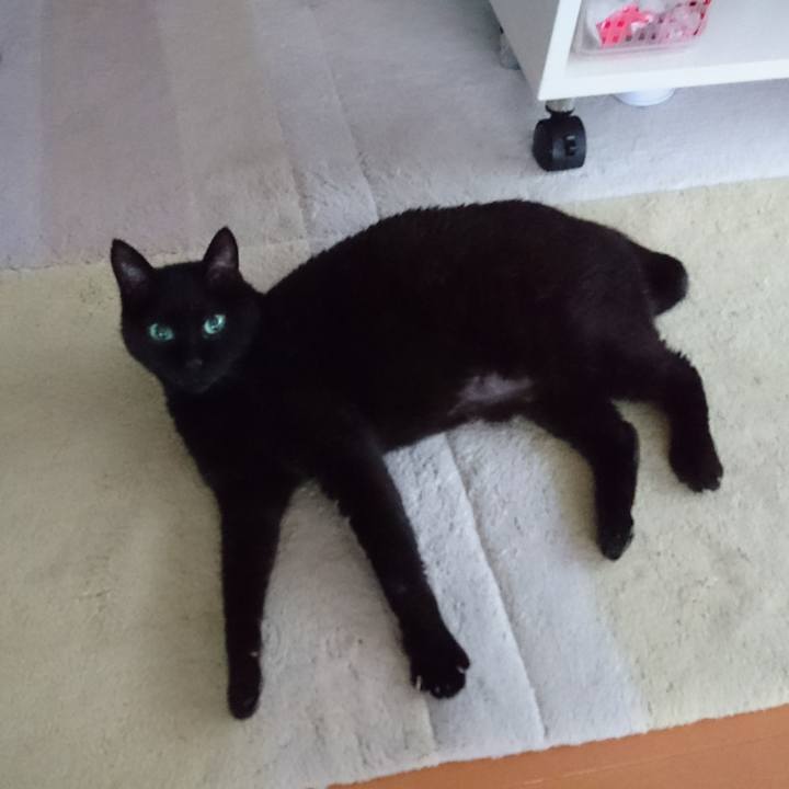 F21f2ebc dbef 4f3b b1b7 3a56471628ca 1565656396332