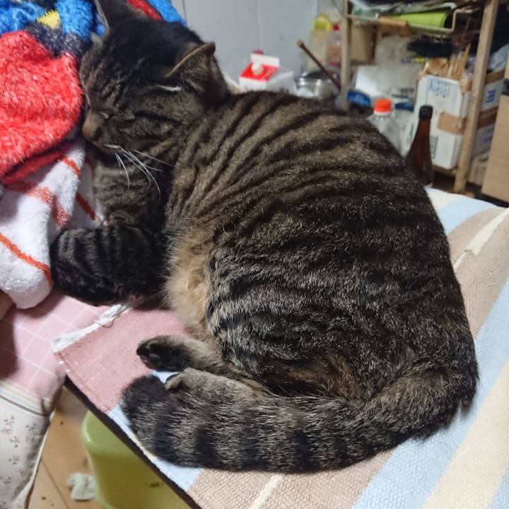 F21f402e d577 43db b96b df1edafbb707 1654041921882