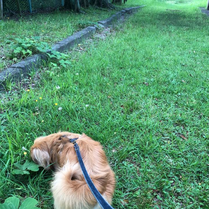 F21f4534 8cf4 4ef7 bc8d 2a2a5884c0fa 1530566635159