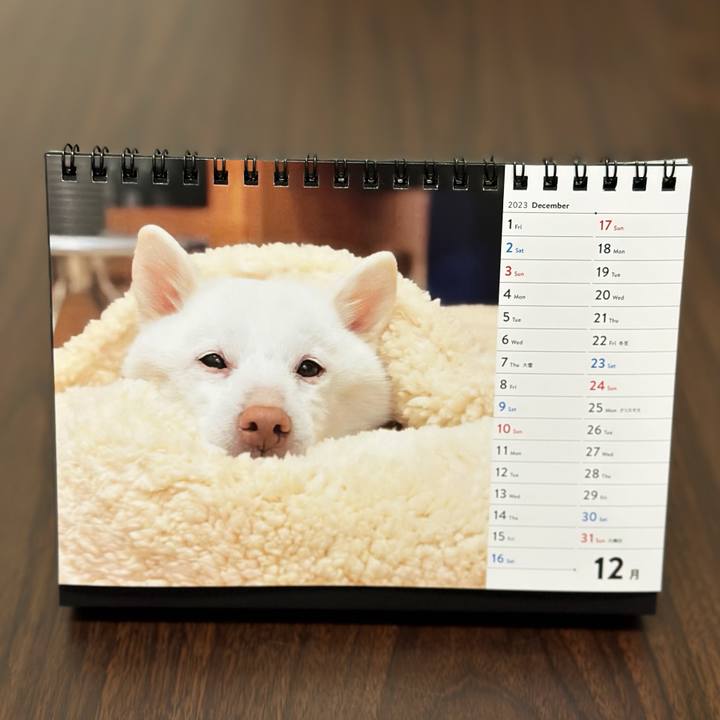 F21f528c cf49 44f6 8133 d58a531ab4f8 1701439142035