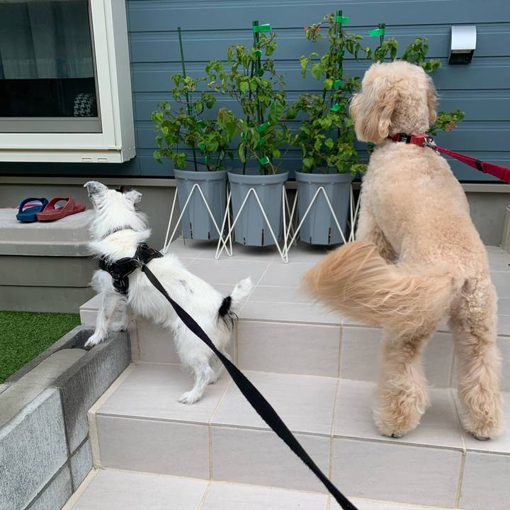 F21f613f 52a4 4f2b 95c3 ef71b6bb4b5e 1727480046806