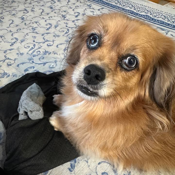 F21f787d 8e79 4c29 a7ca 586e21fbca29 1696196544944