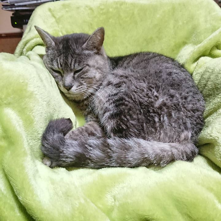 F21f7b42 2fdf 4ffa a79f 5ab9d65108f7 1584094354803