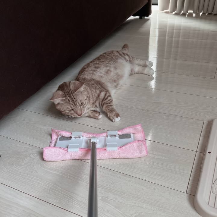 F21fe9b2 e9ec 4868 b2df c36bc063cf6a 1658626920856