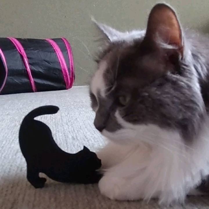 F22003f0 73f0 48c5 9f7a 20e2c7b125b1 1627728794008