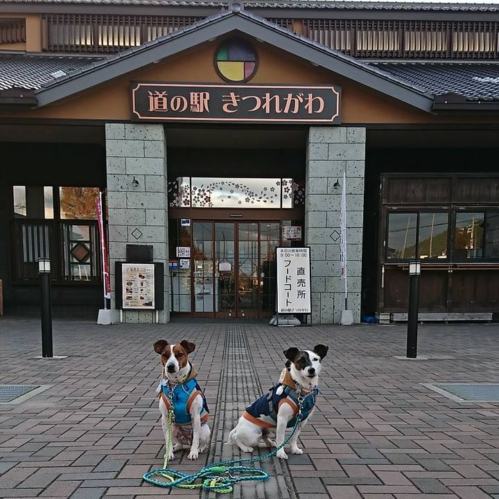 F2201a61 f1fb 4ee0 978e de12353e9f7c 1572818131651