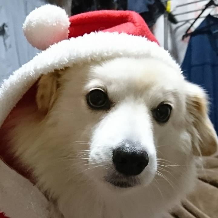 F220593f 9be5 461c 8eef b5c510090b2b 1512817144329