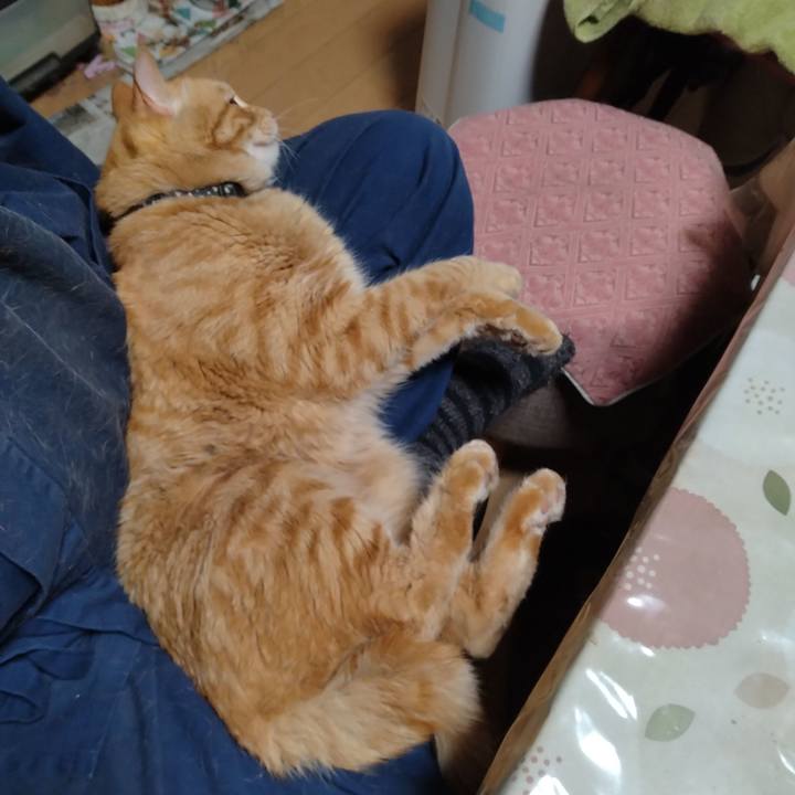 F220767e 82ff 4607 a625 d26cbe550e2f 1684756700763