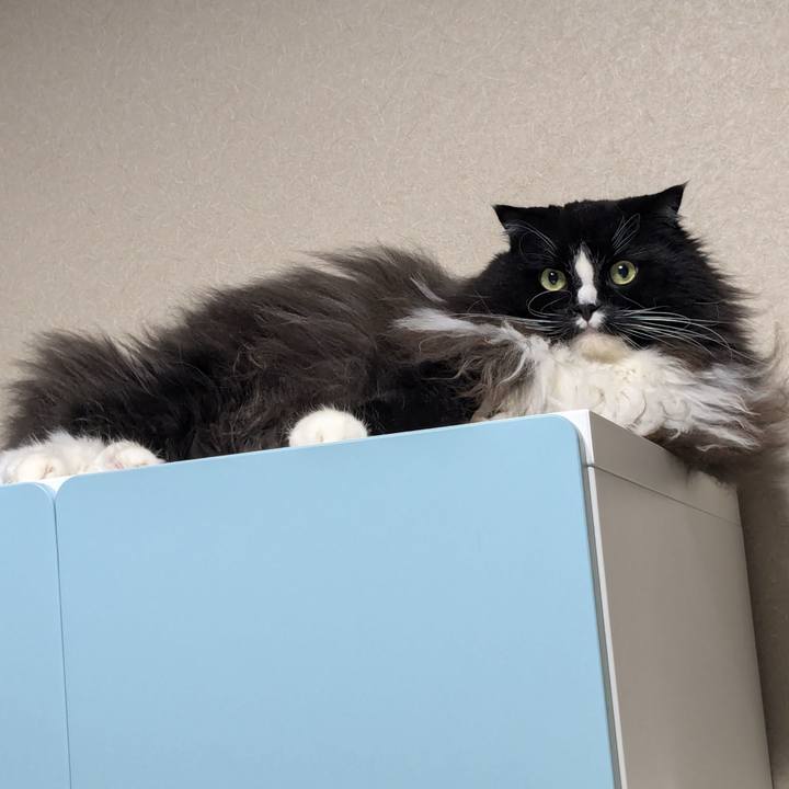 F220bb2e 4ac2 42d2 b756 9d8e0fe24b47 1731145861069