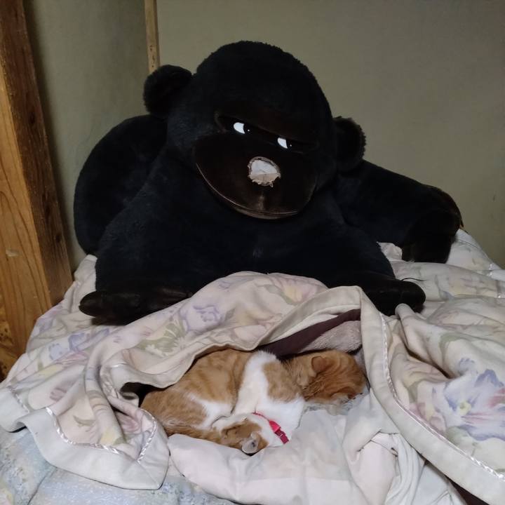 F220e7fb ec9b 4213 9221 a5553bc283d4 1741436824074