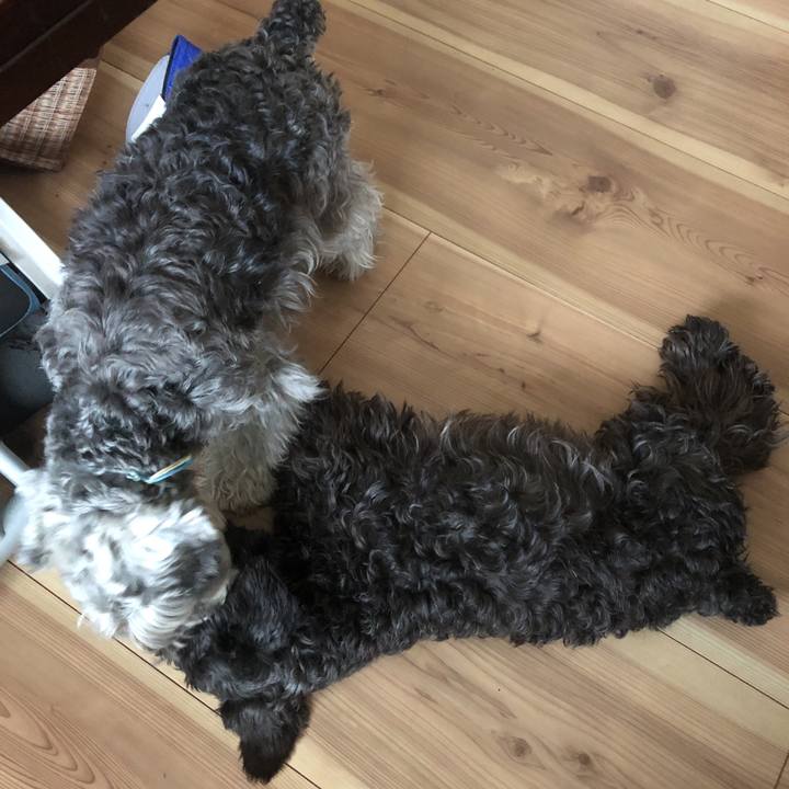 F2210e9a 3766 4c20 bde9 c85501758d80 1556851862004