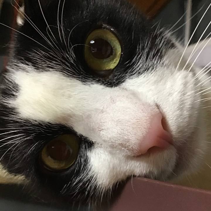 F2211aaf b4d4 47a1 a38d 450289e78286 1726994685427