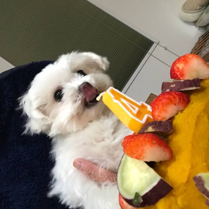 F2212543 9bdc 4f8f 9dbd 392a8da635a3 1515323216013