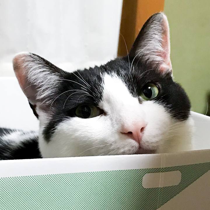 F2214c67 c0f8 414d 8293 c5beb86e3b27 1525486058839