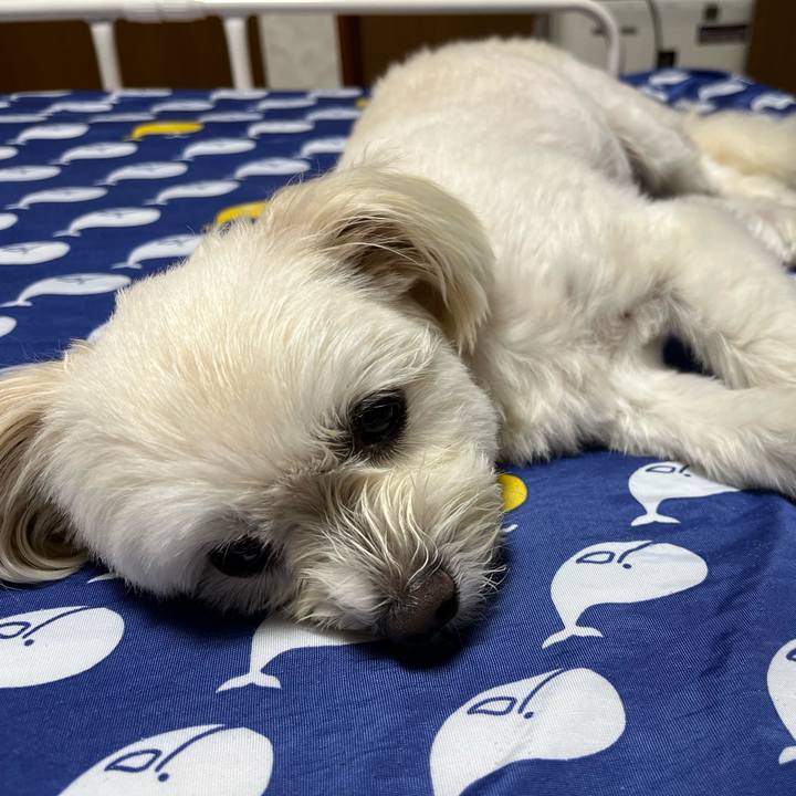 F2215327 5de3 4131 ad25 5315ef64ece9 1660738418071