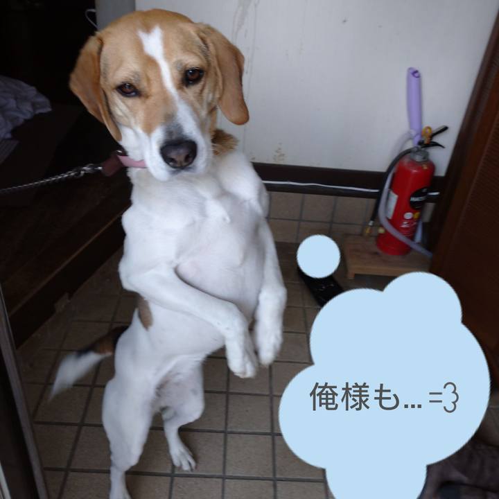 F22161cc 4032 43aa a49d 82adaa3af671 1584240576379