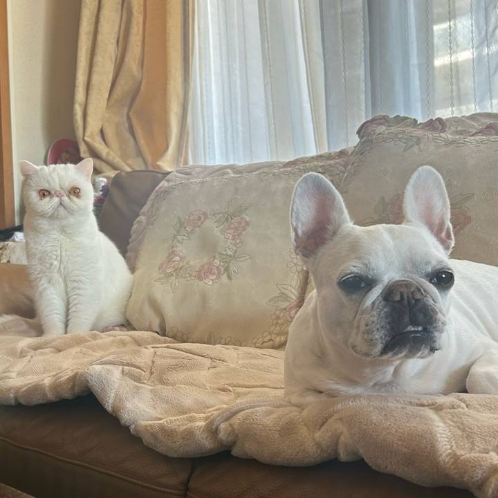 F2216a83 a018 40a3 a968 c04983a17304 1700653409277