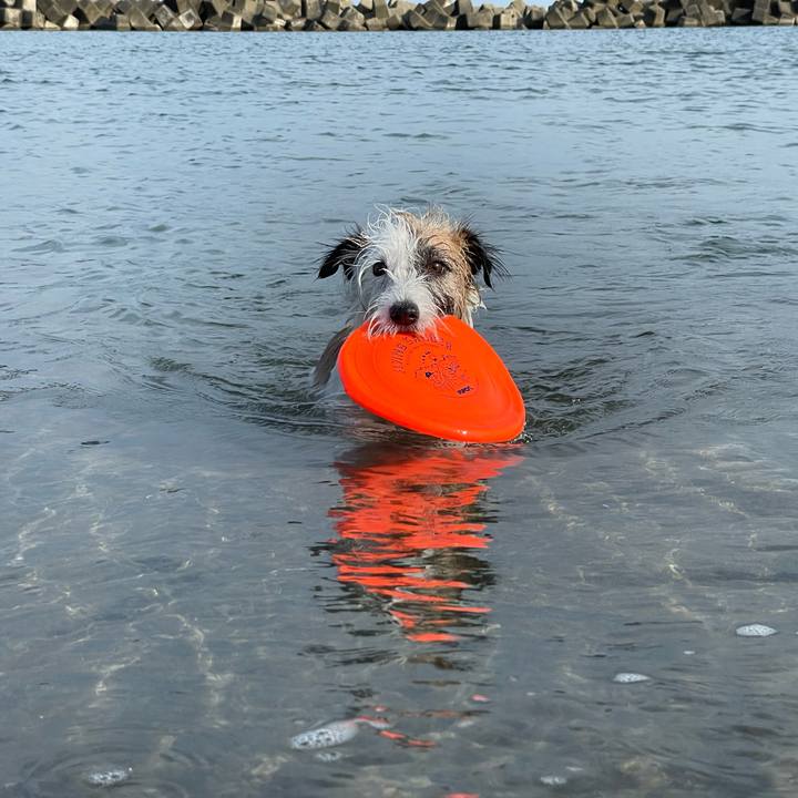 F22183a8 4069 4f8c b7b8 92af68667eaa 1660009921058