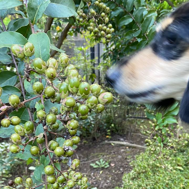 F2218484 6608 4d50 9b47 1e1e4f326ed8 1698357920041