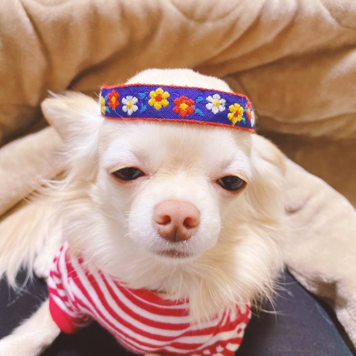 F221a6d4 2653 49e2 b7bd 455e7cef71ac 1641892565525