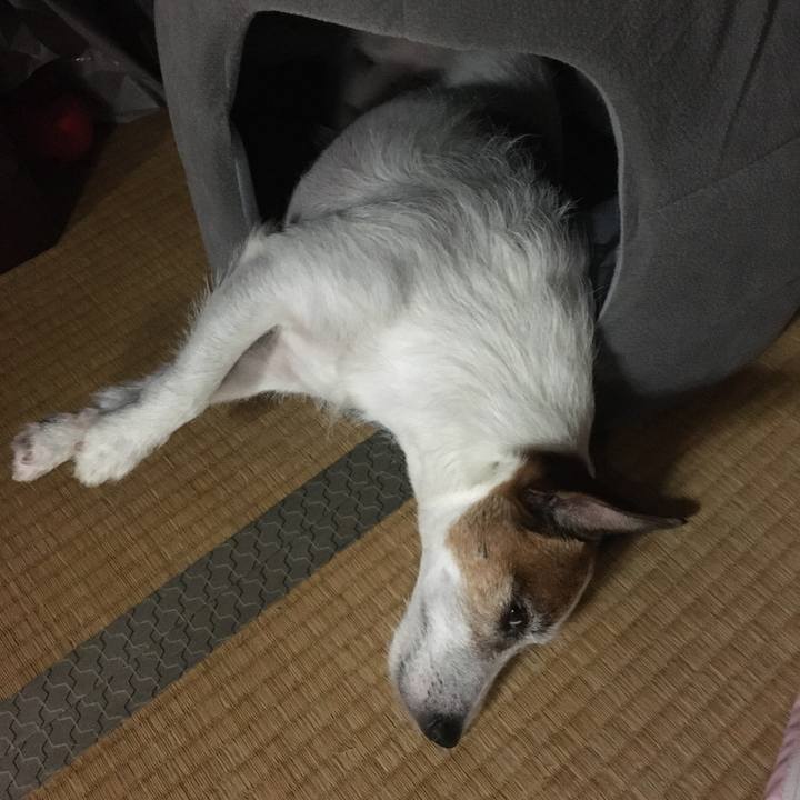 F2223943 8fbc 44d7 8fa6 7f43265ca34f 1592955003212