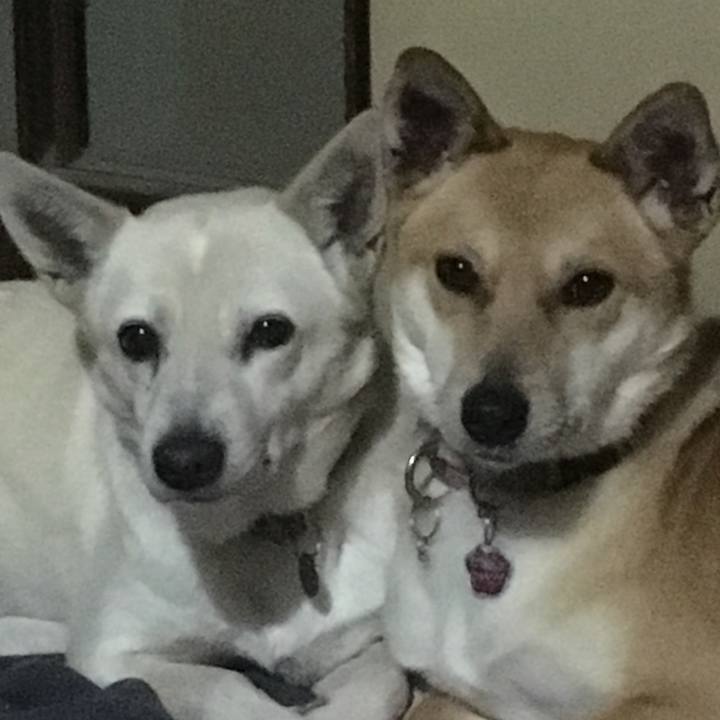 F2225115 56eb 45a0 aa69 95b46dfb72e7 1519817330615