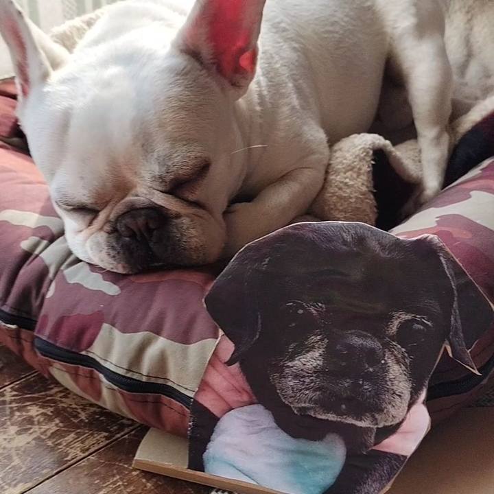 F222850c 0d71 45a9 abe5 bd01689aa276 1680331168412