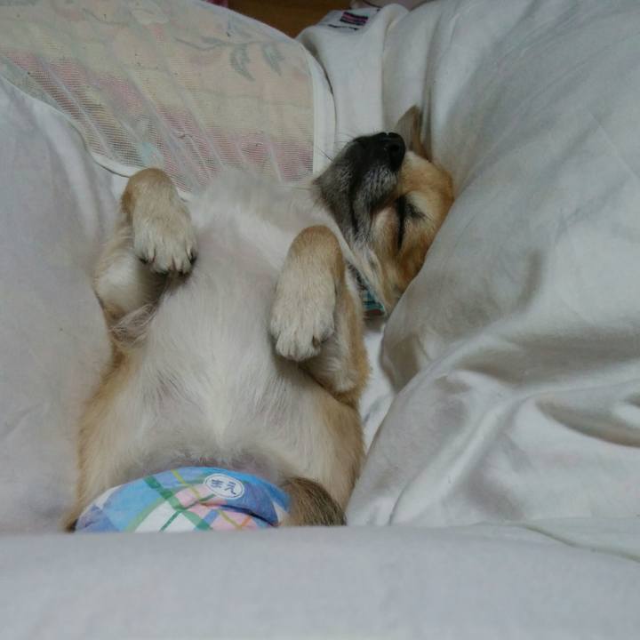 F222b6b5 4308 4a1f ba25 b20434f74975 1511265521505