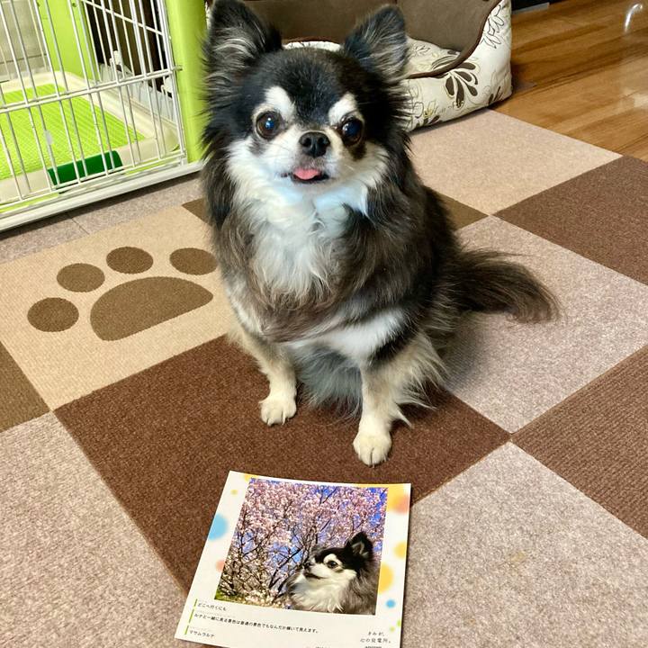 F222c550 c566 4333 ac85 26e761f1bfb5 1776662252337