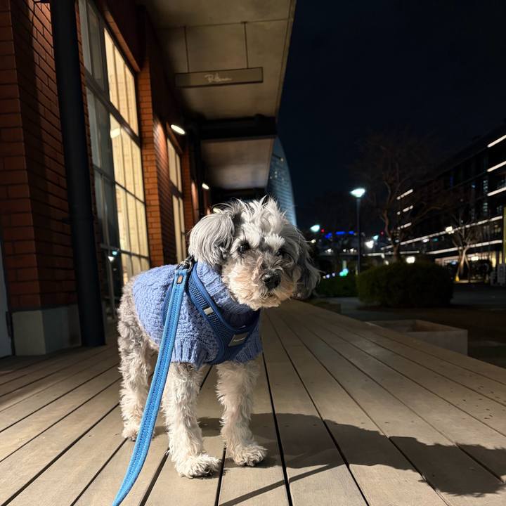 F222d354 ce38 4deb a30f 484bf89ade93 1769699195870