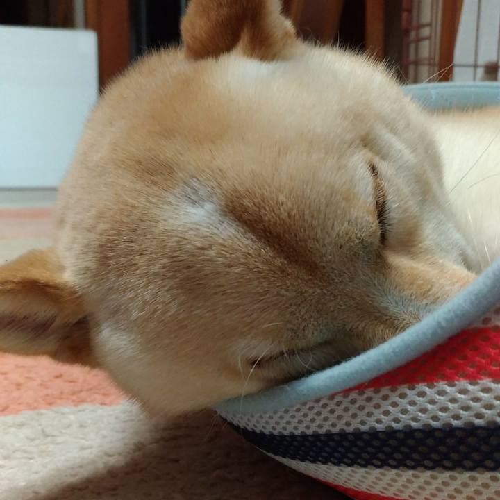 F222e101 1c2c 4e92 bfe2 201609cecd89 1523795168251