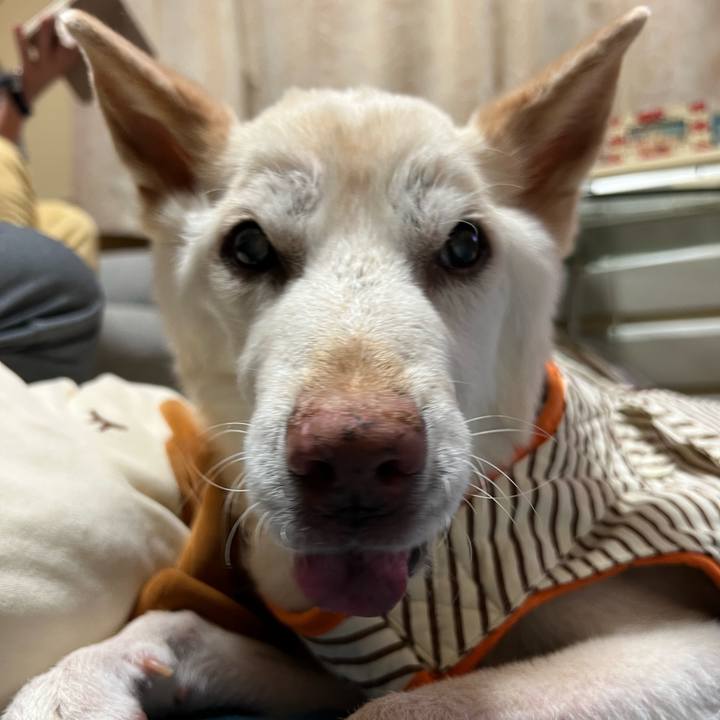 F2230573 8aed 4825 8ca2 6a0a3df7d43a 1663952762585