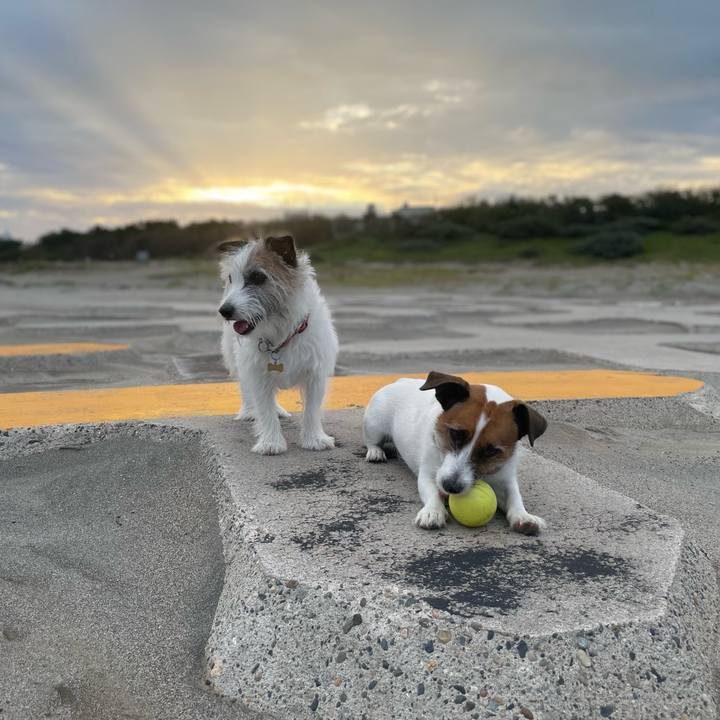 F22330c6 6be0 4fec a91d 1cfe27791a40 1760744506808