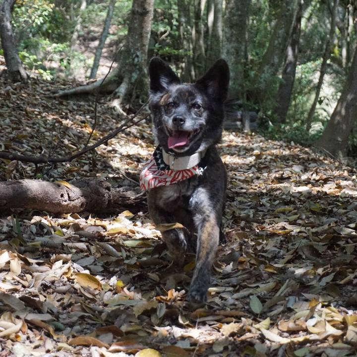 F2233f17 bf97 461a 8de8 97034700556e 1558185499962