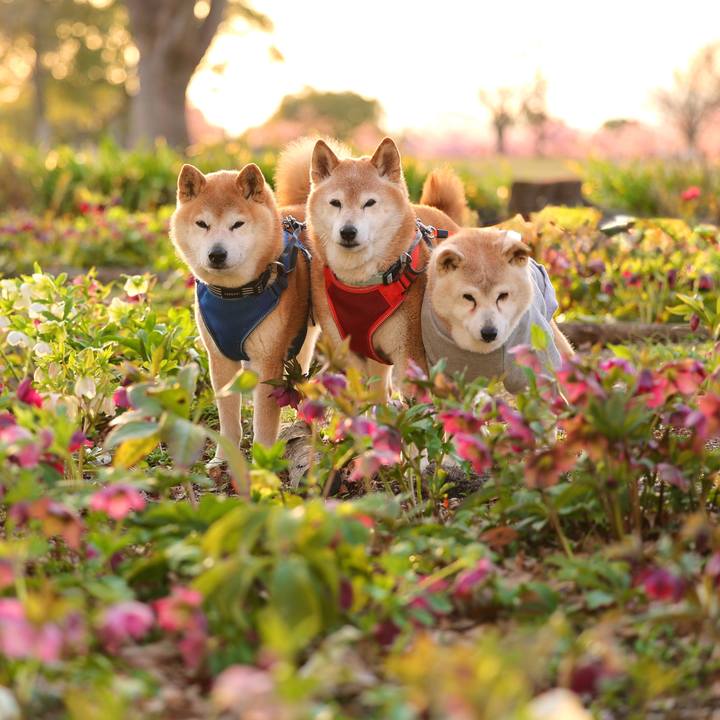 F2234aa4 66bb 432f 9196 3ae8f6d8dc69 1772898551549