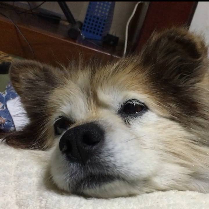 F2236d29 1449 4794 b584 bc7f2fac8043 1562585425218